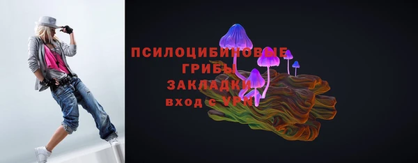 PSILOCYBIN Бугульма